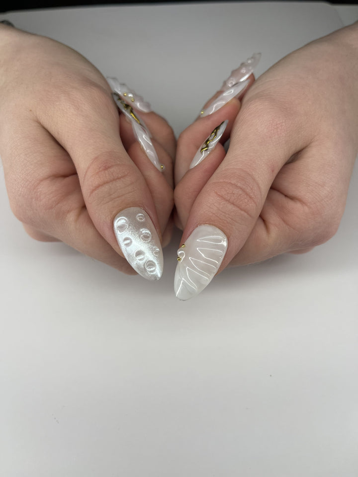 Shell Shine Shaunails